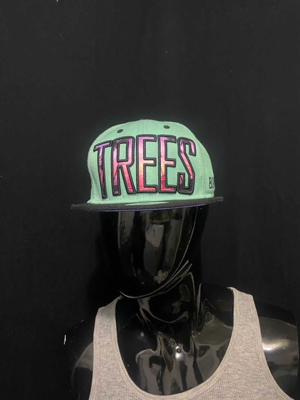 TREES Embroidered Snapback Hat - Mint Pink Accent